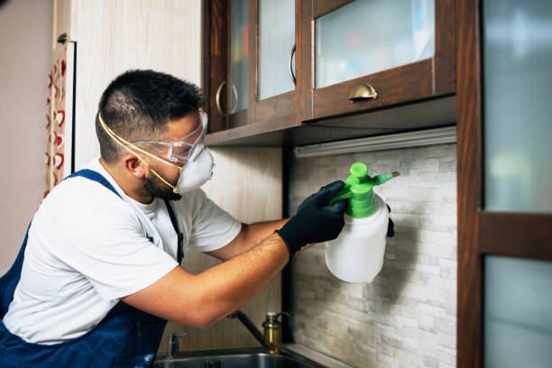 Best Pest Control for Homes  in USA